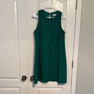 Calvin Klein Green Sleeveless Crochet Mini Dress size 10